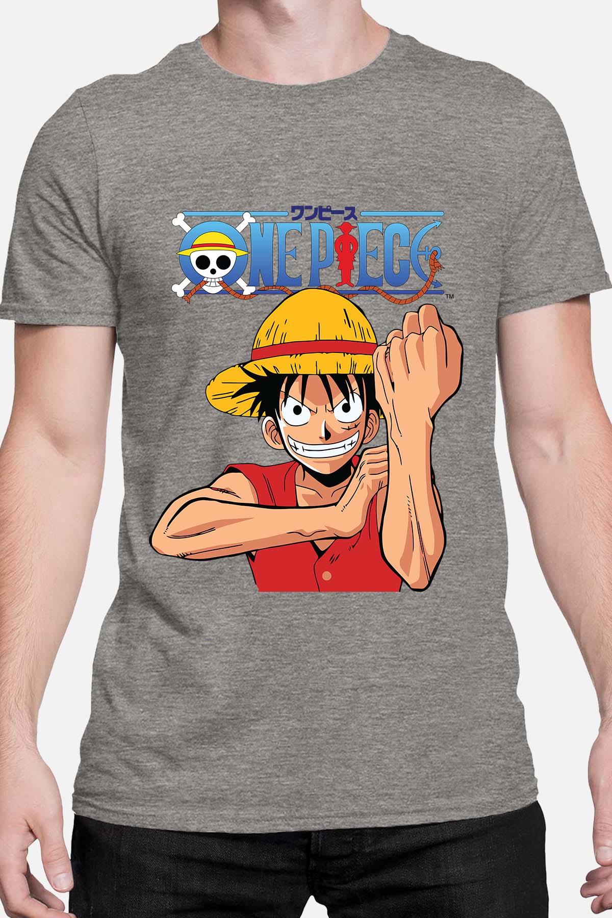 COULEUR:Gris|T-shirt Homme | Gomu Gomu Gris