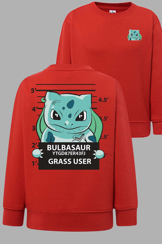 COULEUR:Rouge|Sweat Col Rond Garçon | Accusé Bulbizarre Rouge