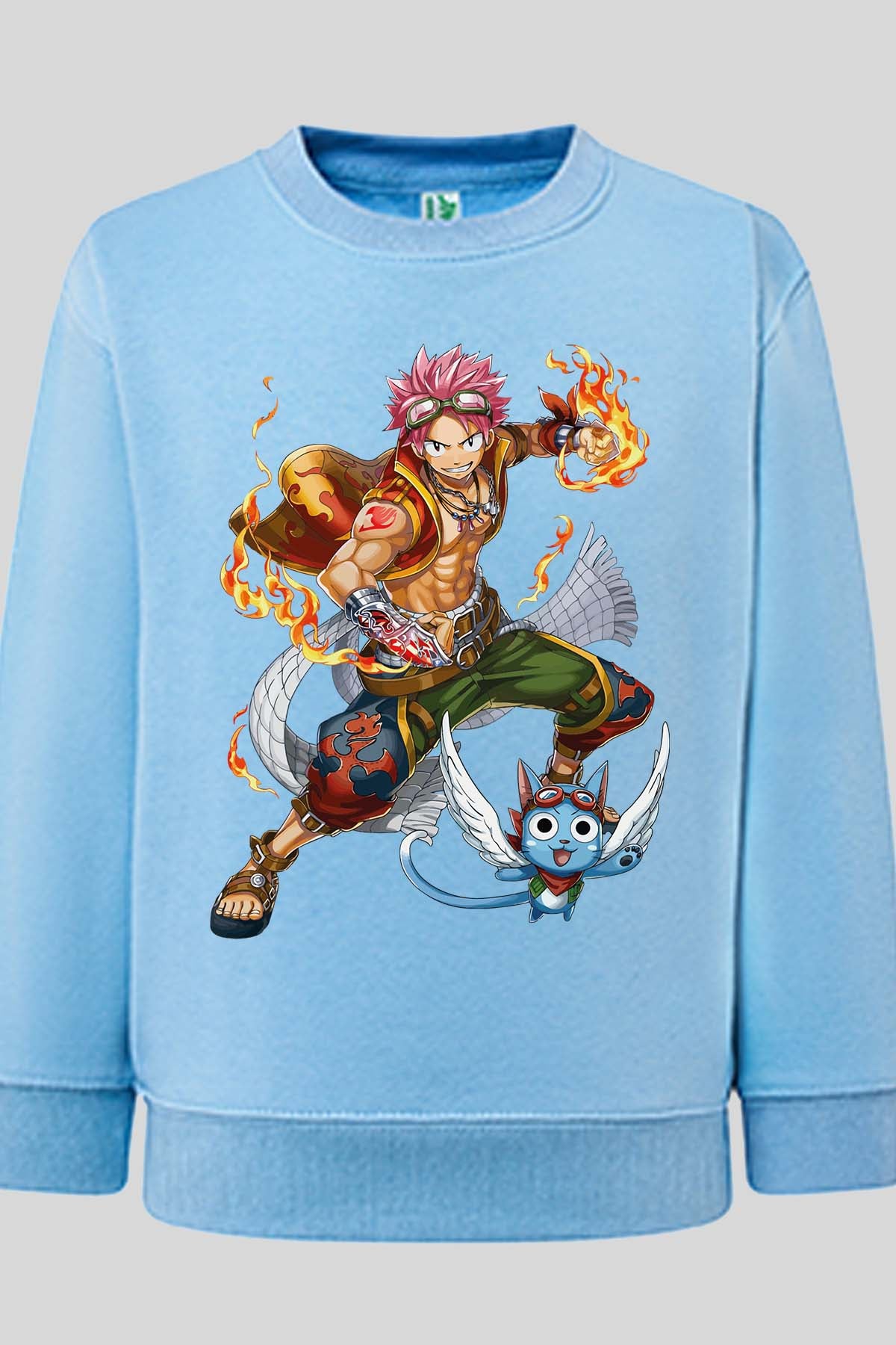 COULEUR:Bleu Ciel|Sweat Col Rond Garçon | Fary 2 Bleu Ciel