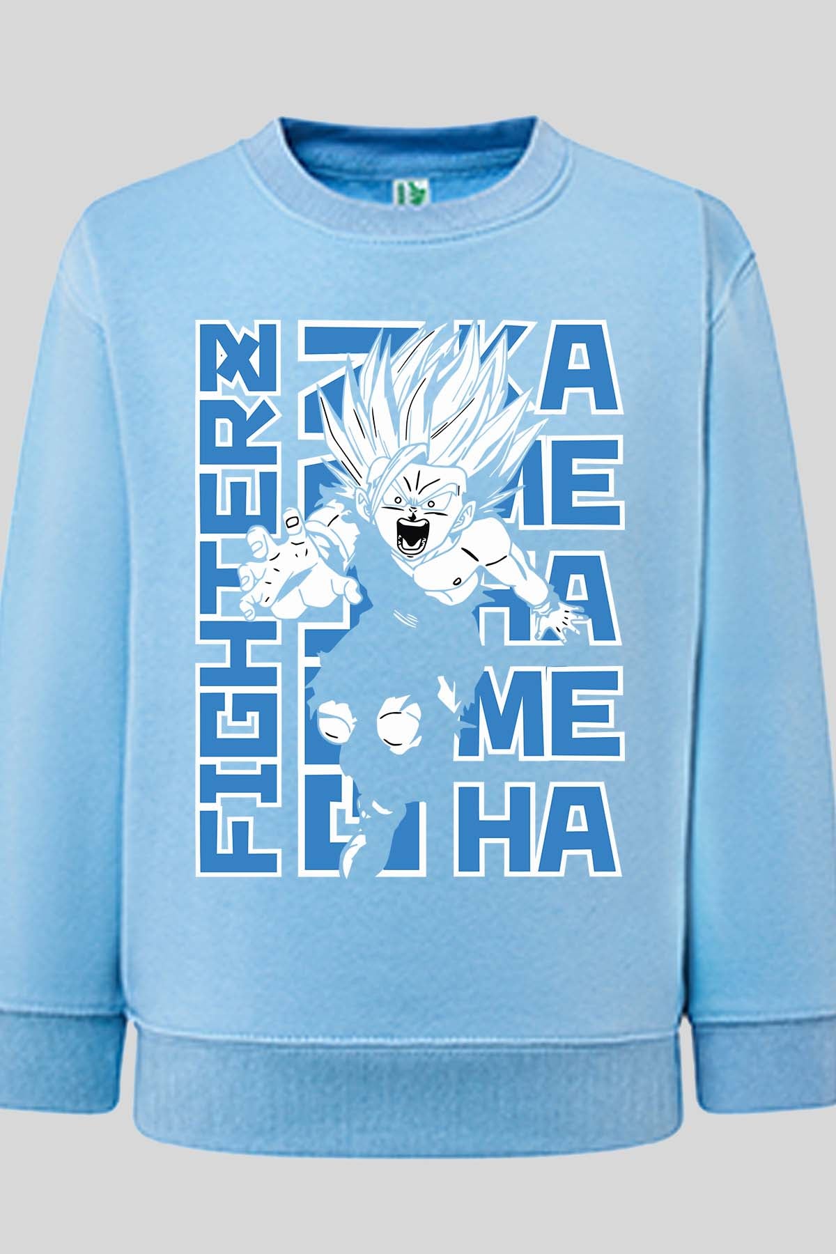 COULEUR:Bleu Ciel|Sweat Col Rond Homme | Fighterz Bleu Ciel